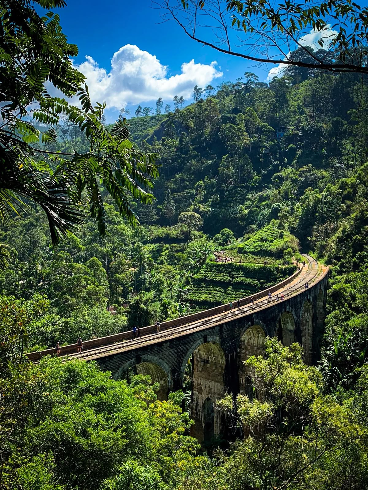 Trip Photo